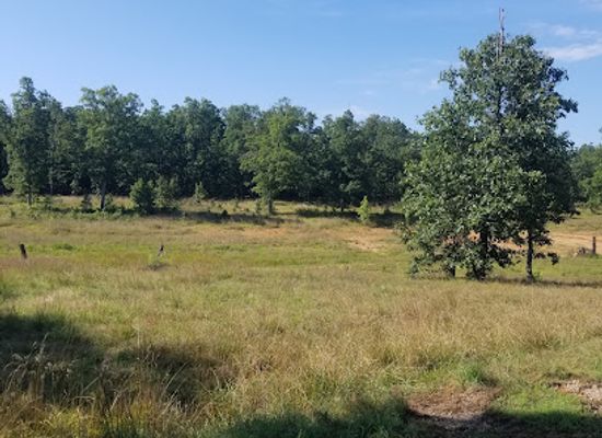 missouri/great-plains/attraction/white-ranch-conservation-area