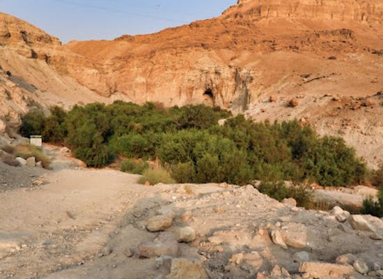 israel/southern-district/attraction/wadi-bokek
