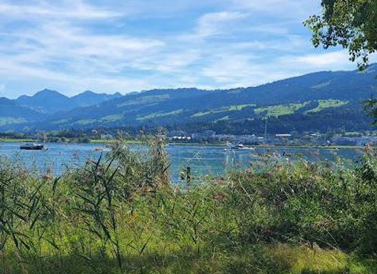 switzerland/zurich-lake/attraction/ufenau