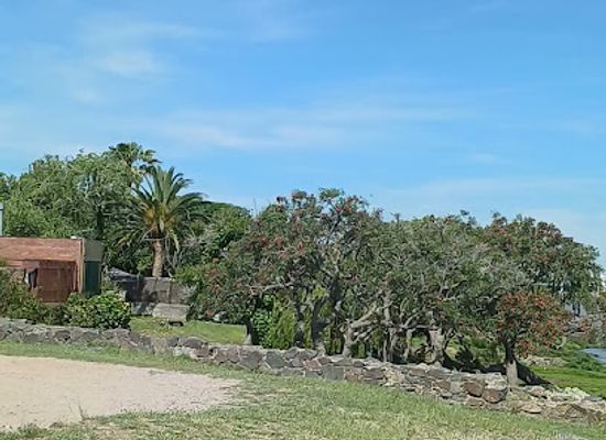uruguay/colonia-del-sacramento/attraction/flor-del-ceibo