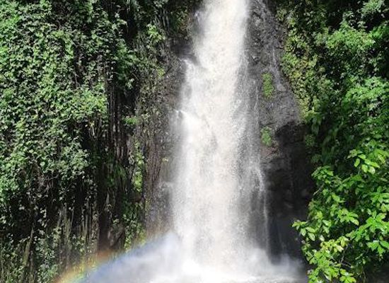 saint-vincent-and-the-grenadines/georgetown/attraction/dark-view-falls