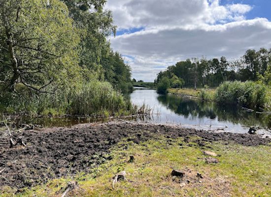 denmark/lolland-falster/attraction/botoskoven