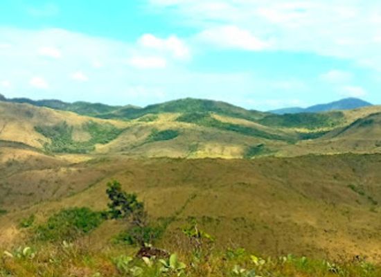 guyana/rupununi/attraction/climb-guyana