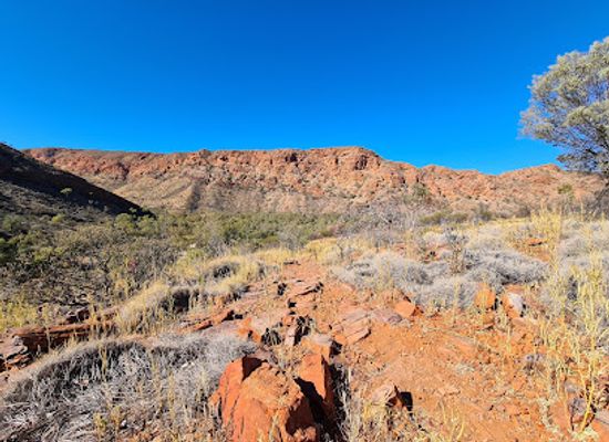 australia/macdonnell-ranges/attraction/trephina-gorge-nature-park