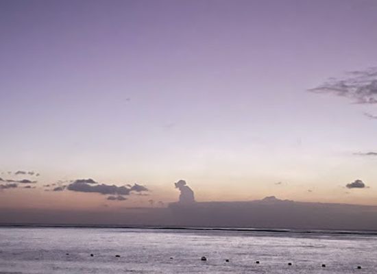 mauritius/flic-en-flac-beach/attraction/aslam-tours