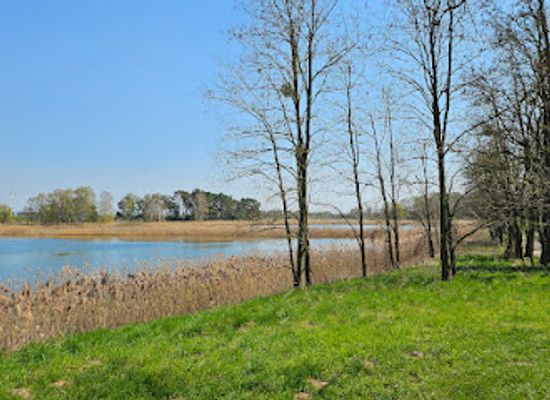 germany/uckermark/attraction/schorfheide-chorin-biosphere-reserve