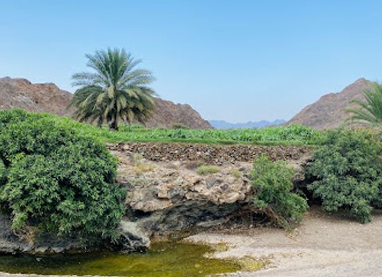 oman/ibri/attraction/kadh-rustaq-mhafezh-south-alebatnh-sultanate-of-oman