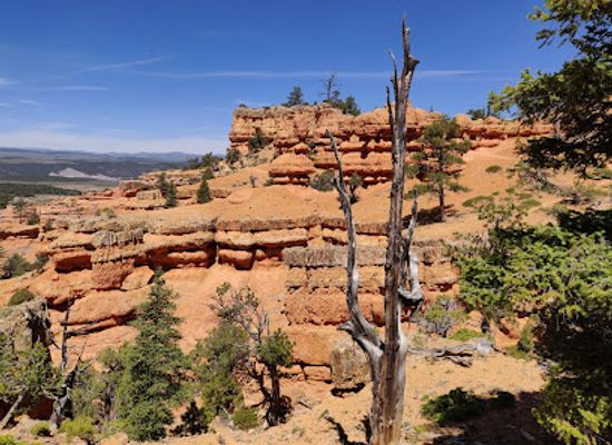 utah/dixie-national-forest/attraction/arches-trailhead