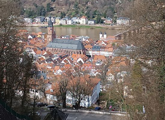 germany/heidelberg/attraction/klingenteichwasserfall