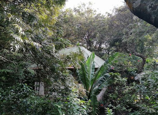 guatemala/pacaya-volcano/attraction/montana-la-negra