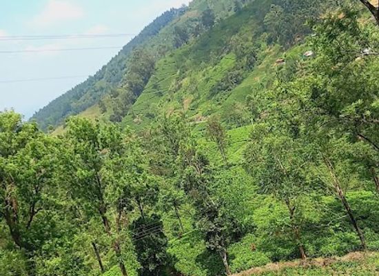 sri-lanka/kegalle-district/attraction/belumgala-view-point-ambalakanda