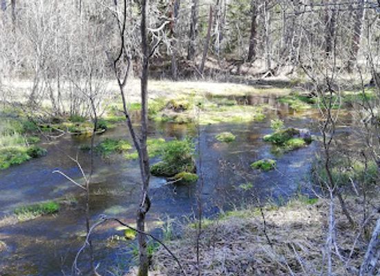 estonia/estonian-islands/attraction/odalatsi-allikad