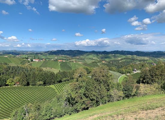slovenia/styria/attraction/die-sudsteirische-weinstrasse