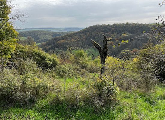 luxembourg/moselle-valley/attraction/sentier-nature-manternacher-fiels