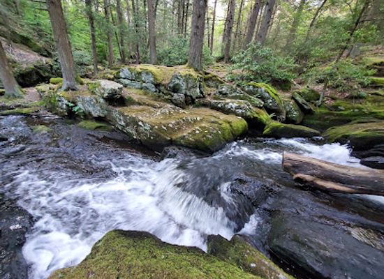 connecticut/housatonic-valley/attraction/peterson-memorial-park