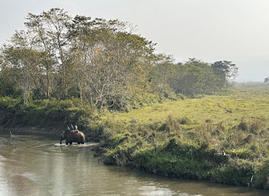nepal/chitwan-national-park/attraction/start