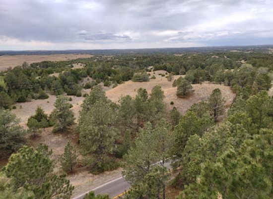 nebraska/nebraska-national-forest/attraction/nebraska-national-forest-bessey-ranger-district