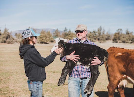 oregon/jefferson-county/attraction/dd-ranch