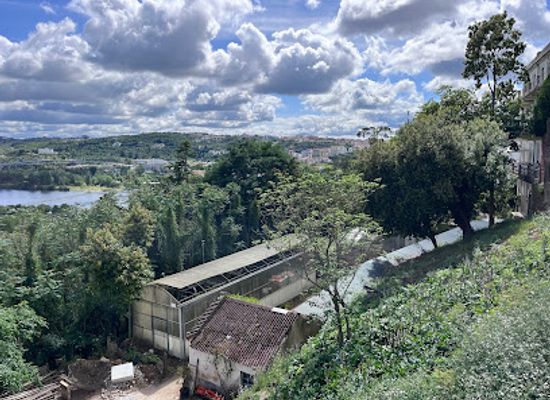 portugal/coimbra/attraction/jardim-botanico-puerta-de-r-arco-da-traicao