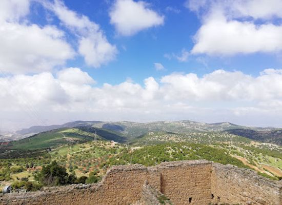 jordan/ras-al-naqb/attraction/ajloun-castle