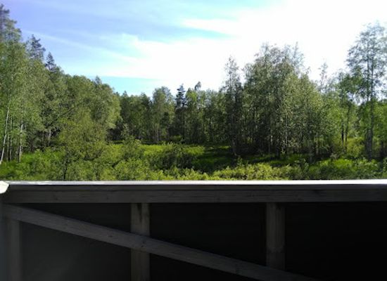 finland/espoo/attraction/nupuri-birdwatching-tower