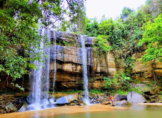 kenya/coastal-region/attraction/shimba-hills-national-reserve