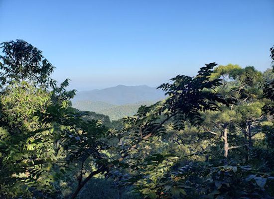 thailand/phi-pan-nam-range/attraction/jungle-flight-chiang-mai