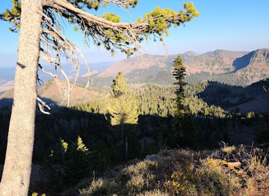 oregon/eastern-oregon/attraction/strawberry-mountain