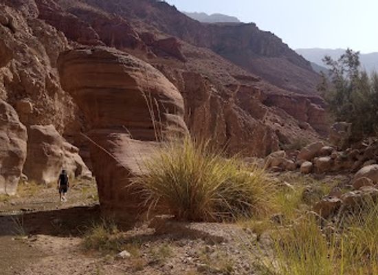 jordan/wadi-hasa/attraction/wadi-al-namira