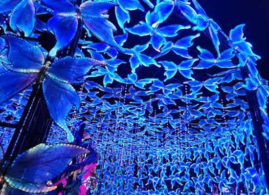 california/stockton/attraction/stockton-lantern-festival