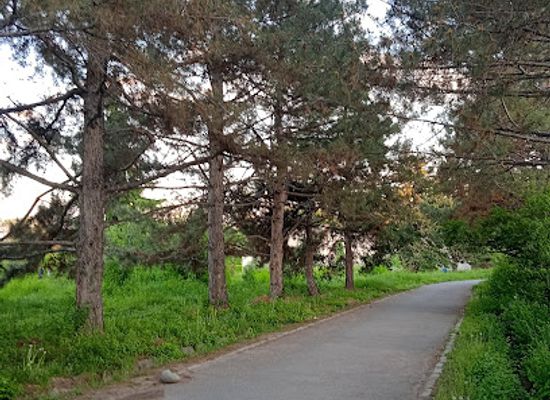 kyrgyzstan/jalal-abad-region/attraction/botanical-garden
