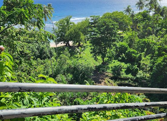 samoa/savai-i-island/attraction/faiaai-beach-house-of-paradise