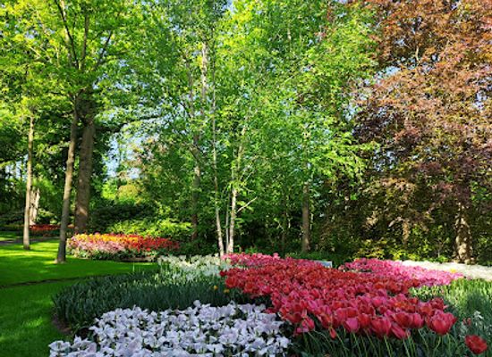 netherlands/bollenstreek/attraction/keukenhofbos-ingang-duinhof