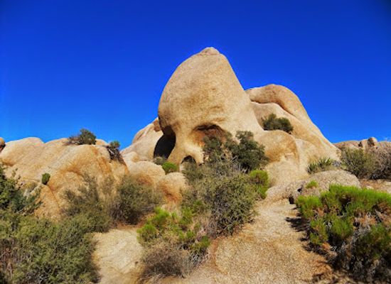 california/joshua-tree/attraction/skull-rock-trail