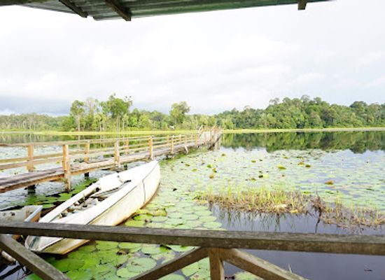 brunei/temburong-district/attraction/tasek-merimbun