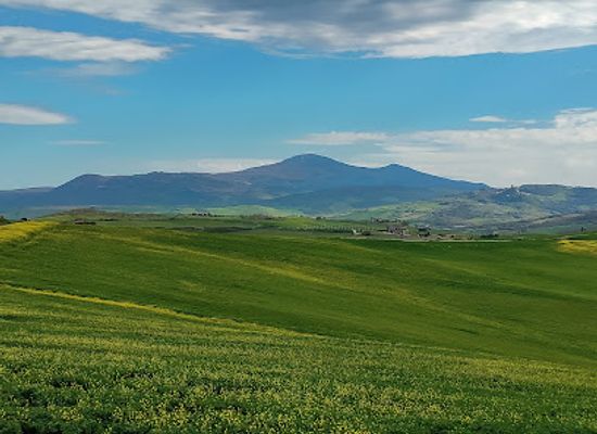 italy/val-d-orcia/attraction/strada-per-la-cappella