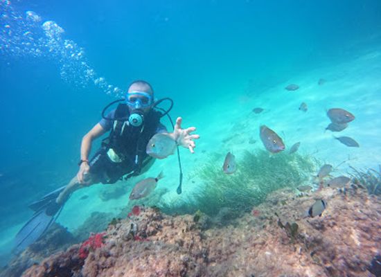 tunisia/djerba-island/attraction/aminos-djerba-sub