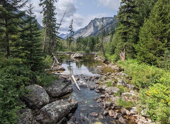 montana/bitterroot-national-forest/attraction/selway-bitterroot-wilderness