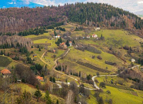 montenegro/mount-bjelasica/attraction/holy-pine