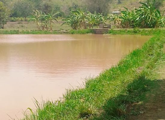 malawi/karonga/attraction/my-home-muula