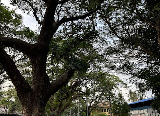 india/kochi/attraction/dronacharya-relaxing-point