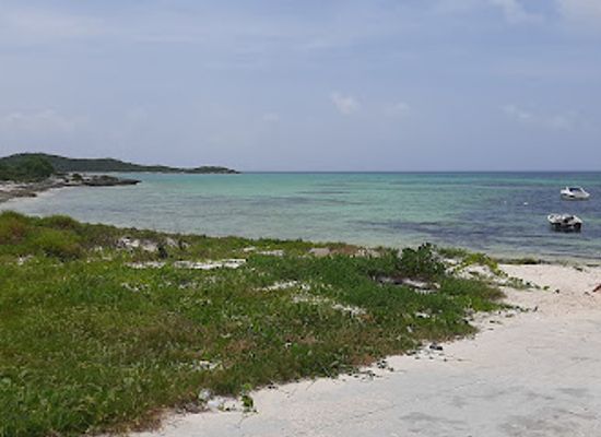 the-bahamas/crooked-island/attraction/salina-point-public-park