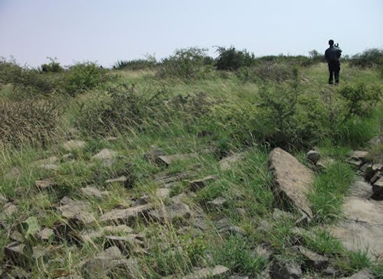 ethiopia/dire-dawa/attraction/gash-abe-mountain