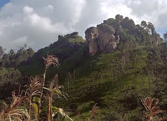 cameroon/bamenda/up-station/attraction/rock-pillars