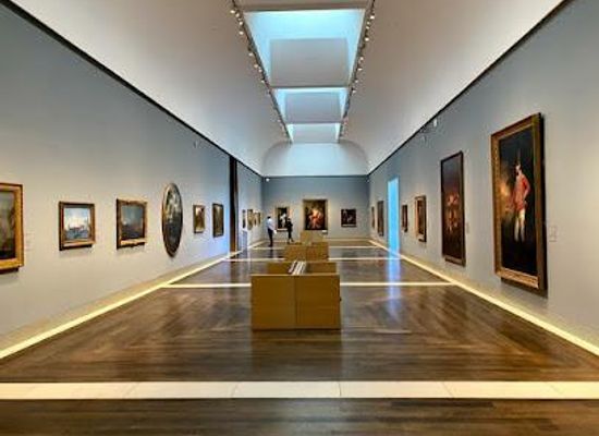 texas/sugar-land/attraction/the-museum-of-fine-arts-houston