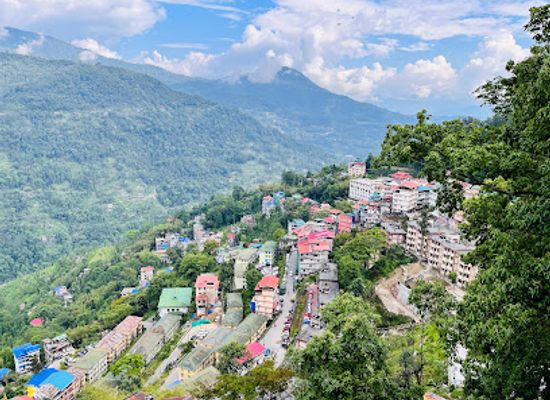 india/sikkim/attraction/bakthang-waterfall
