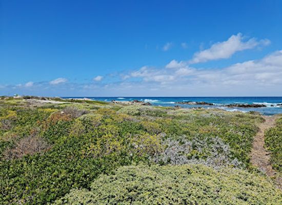 south-africa/overberg/attraction/southern-tip-of-africa