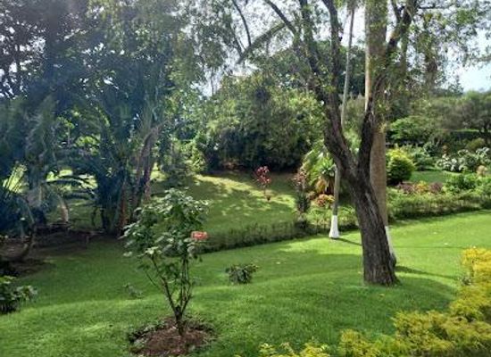 saint-vincent-and-the-grenadines/georgetown/attraction/botanical-gardens