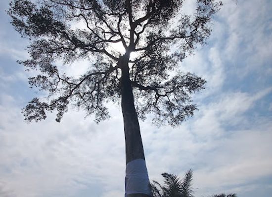 ghana/sekondi-takoradi/attraction/apremdo-community-park