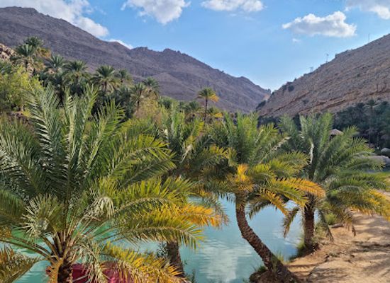 oman/muscat-governorate/attraction/desert-discovery-tours-car-rental-oman